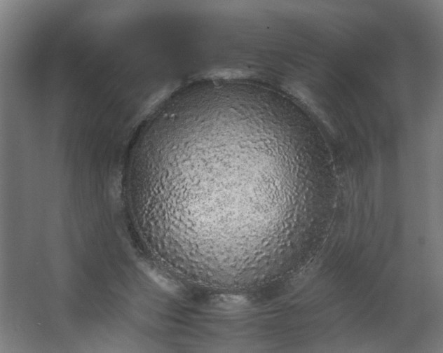 X0000067850159200604201316