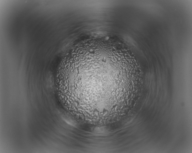 X0000067850173200604201317