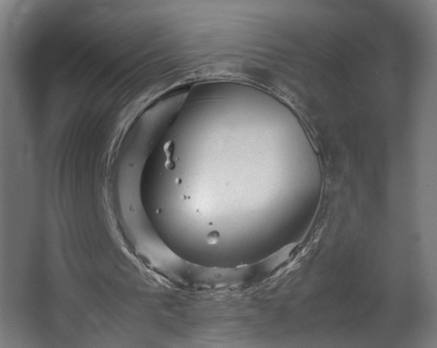 X0000067850193200604201316