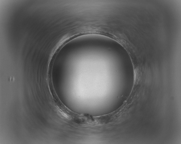 X0000067850195200604201316