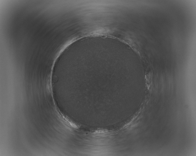 X0000067850196200604201316