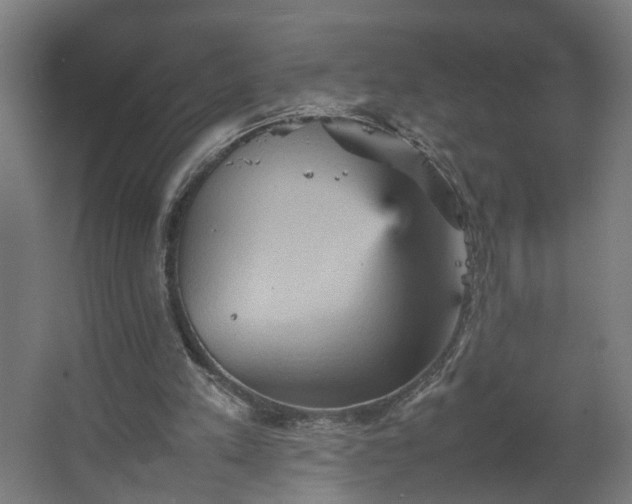 X0000067850197200604201316