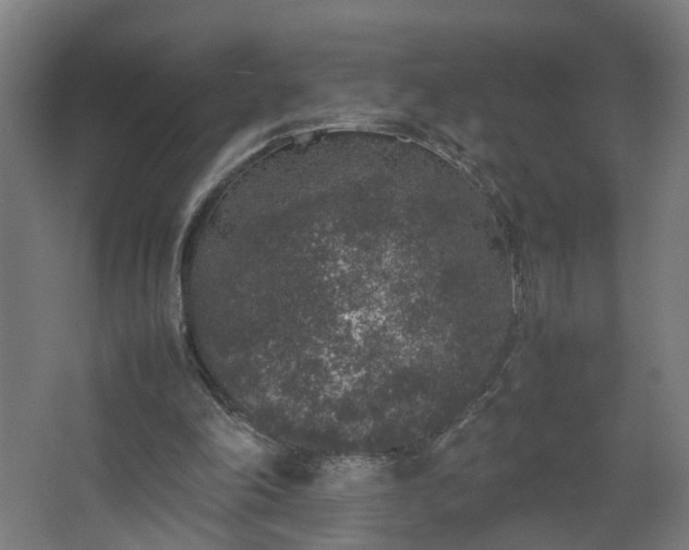 X0000067850198200604201316