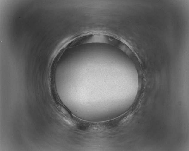 X0000067850199200604201316