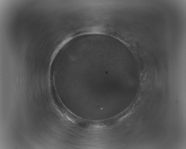 X0000067850200200604201316