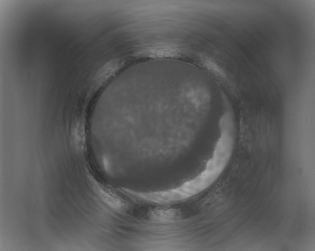 X0000067850202200604201316