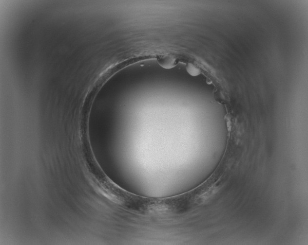 X0000067850203200604201316