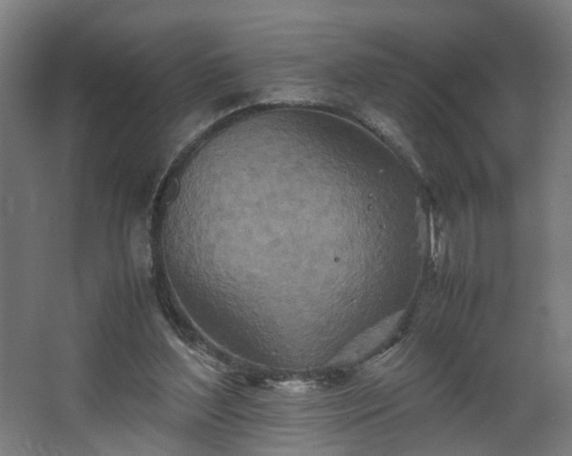 X0000067850204200604201316