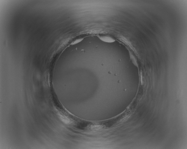 X0000067850205200604201316