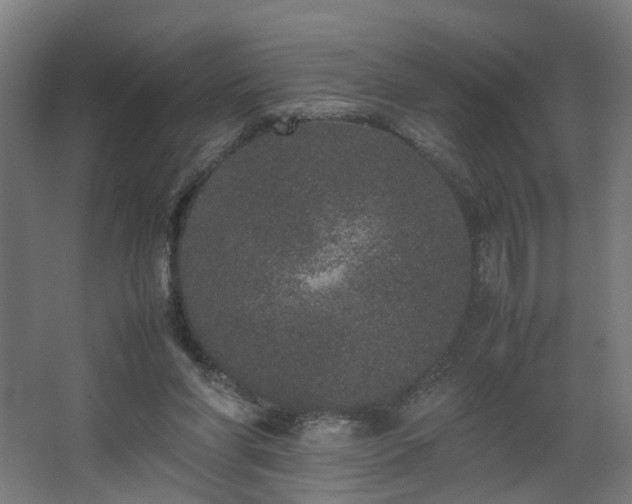 X0000067850206200604201316