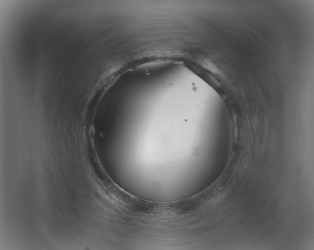 X0000067850207200604201316