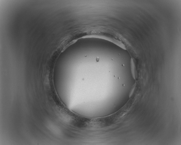 X0000067850209200604201316