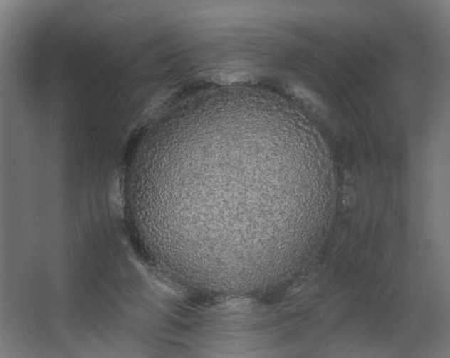 X0000067850210200604201316