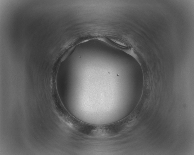 X0000067850211200604201316