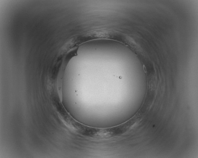 X0000067850213200604201316