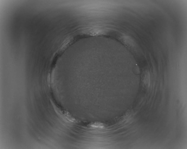 X0000067850214200604201316