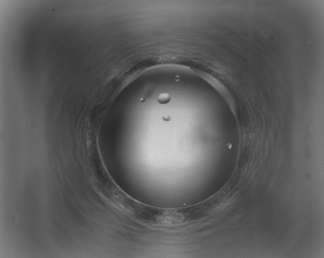 X0000067850215200604201316