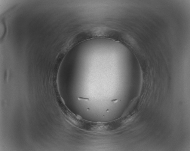 X0000067850217200604201316