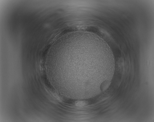 X0000067850218200604201316