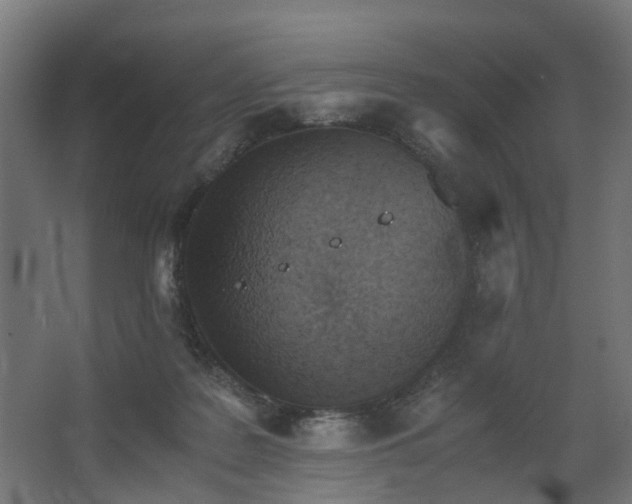 X0000067850219200604201316