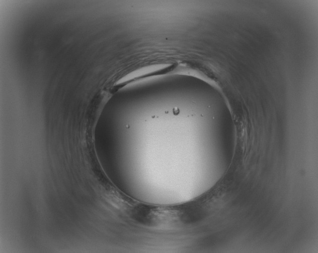 X0000067850221200604201316