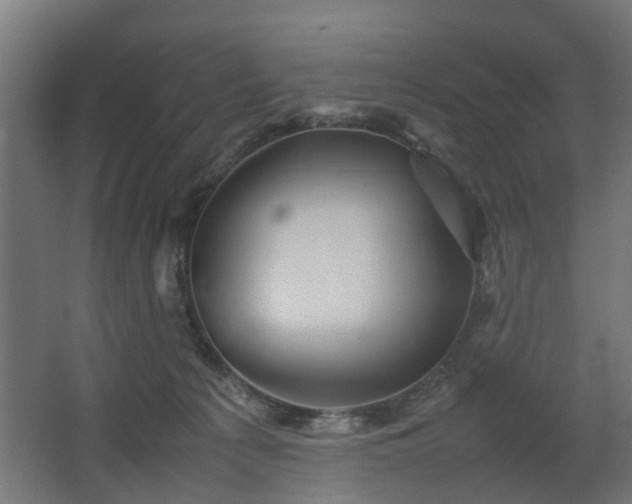 X0000067850225200604201316