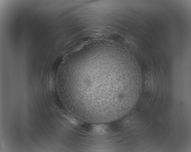 X0000067850226200604201316