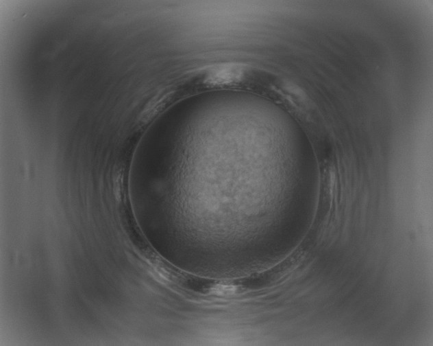 X0000067850227200604201316