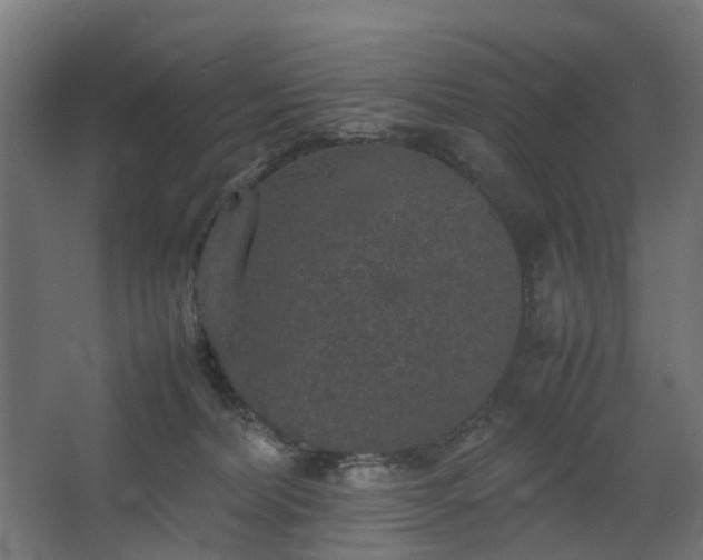 X0000067850228200604201316