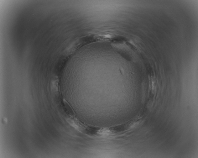 X0000067850231200604201316