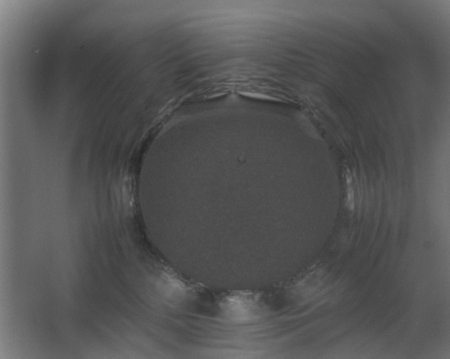 X0000067850232200604201316