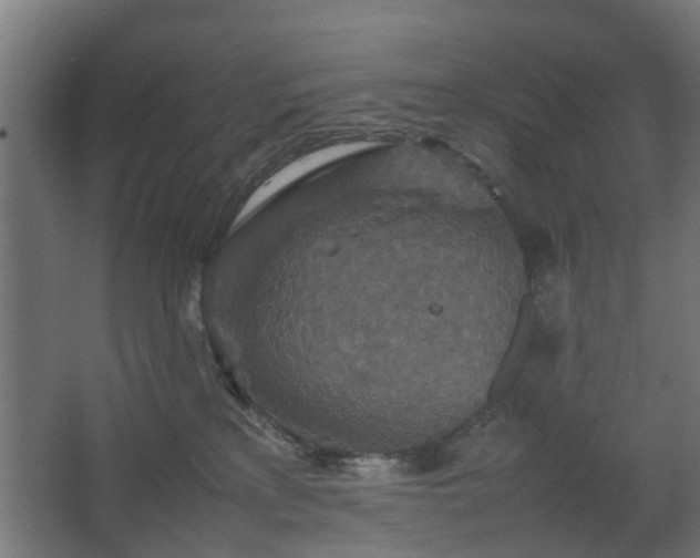 X0000067850233200604201316