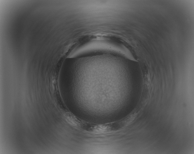 X0000067850235200604201316