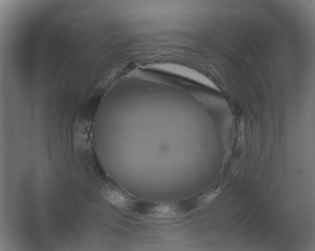 X0000067850237200604201315