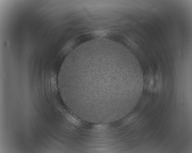 X0000067850238200604201315