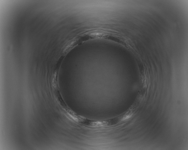 X0000067850239200604201315