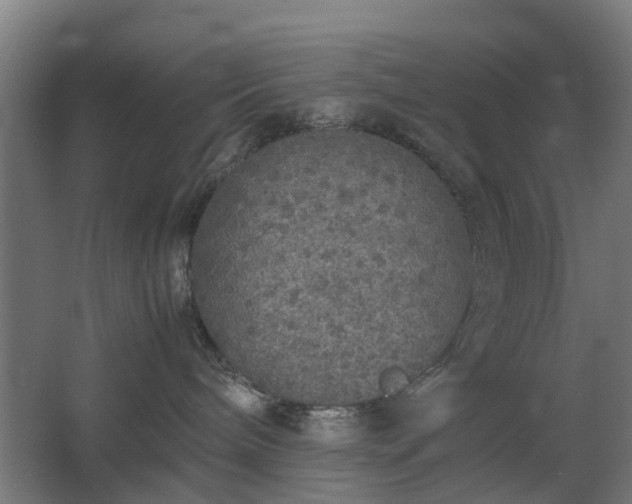 X0000067850240200604201315