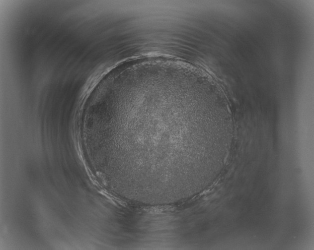 X0000067850241200604201315