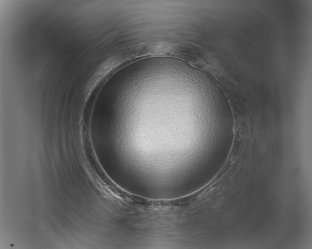 X0000067850242200604201315