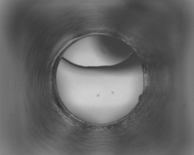 X0000067850243200604201315