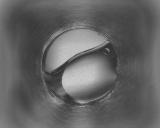 X0000067850244200604201315