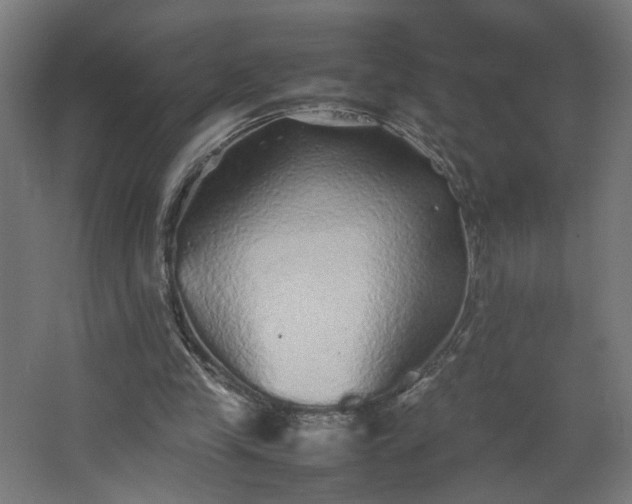 X0000067850245200604201315