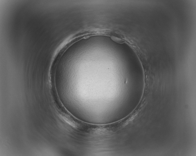 X0000067850246200604201315