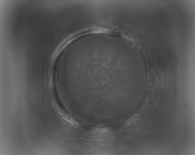 X0000067850247200604201315