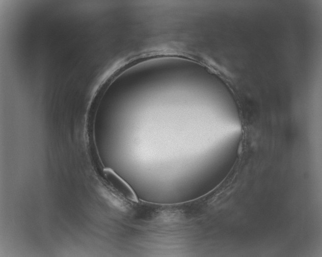 X0000067850248200604201315