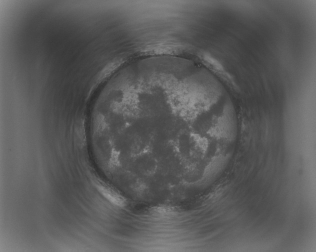 X0000067850250200604201315