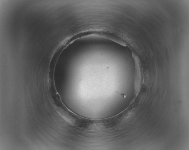 X0000067850252200604201315