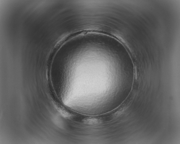 X0000067850253200604201315