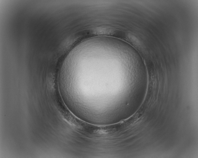 X0000067850255200604201315