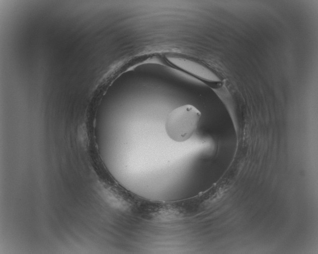 X0000067850256200604201315